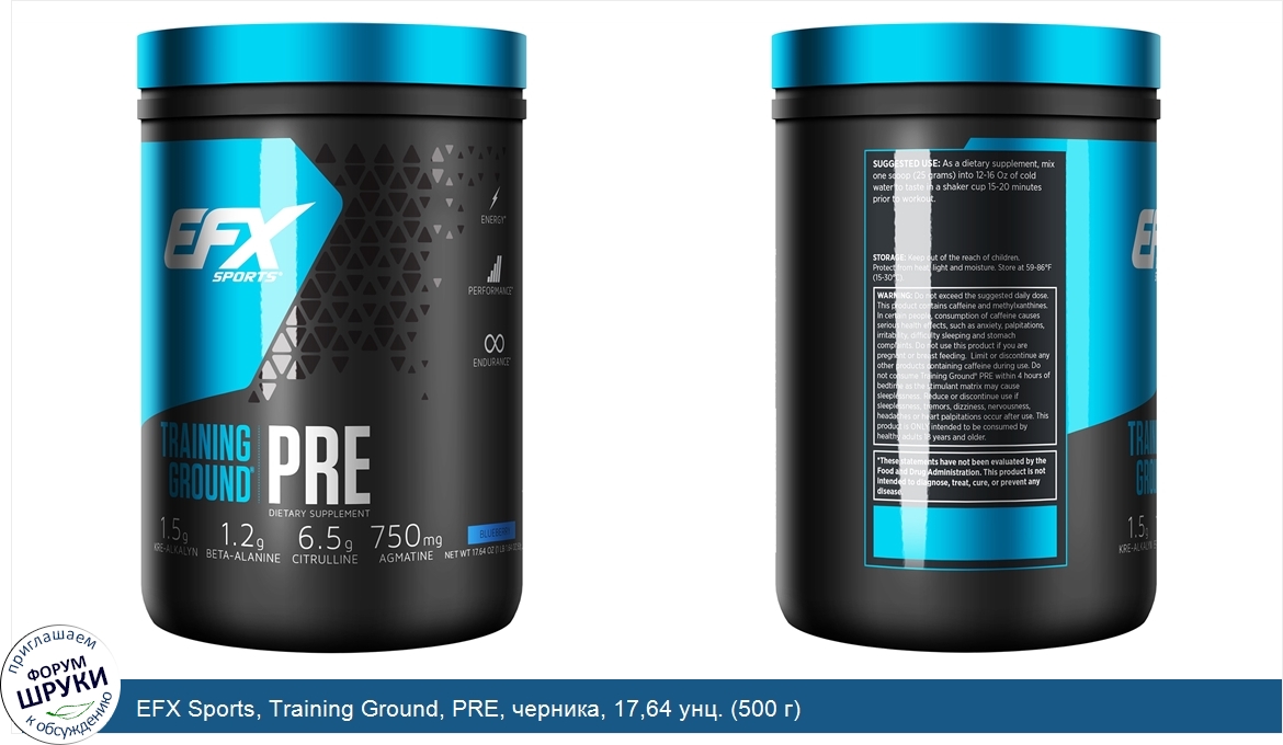 EFX_Sports__Training_Ground__PRE__черника__17_64_унц.__500_г_.jpg