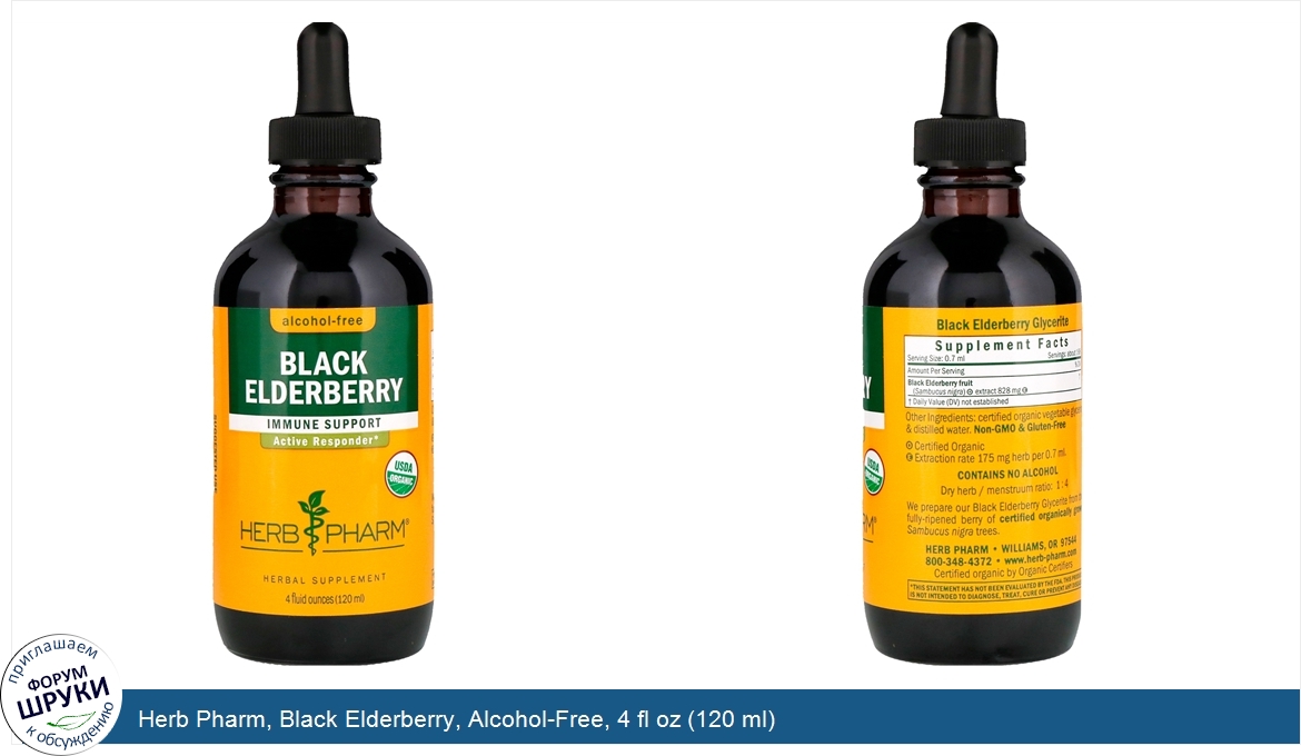 Herb_Pharm__Black_Elderberry__Alcohol_Free__4_fl_oz__120_ml_.jpg