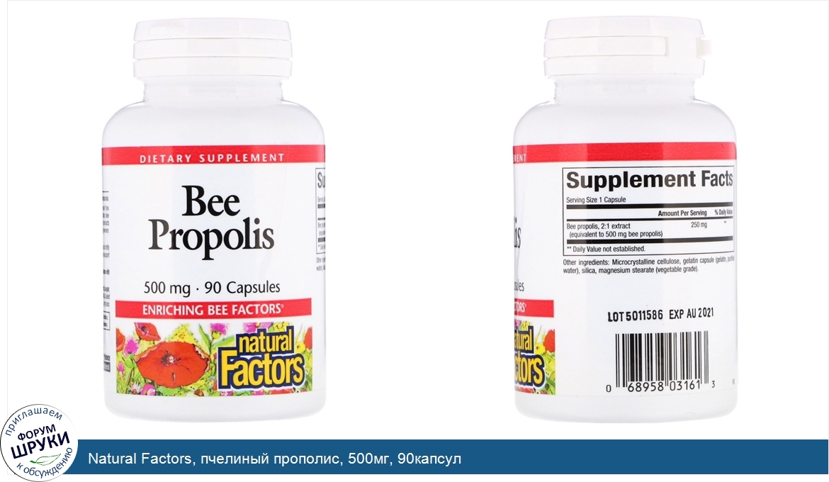 Natural_Factors__пчелиный_прополис__500мг__90капсул.jpg