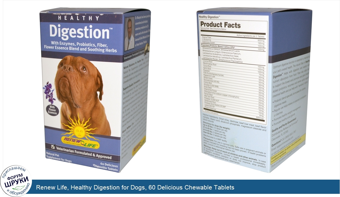 Renew_Life__Healthy_Digestion_for_Dogs__60_Delicious_Chewable_Tablets.jpg