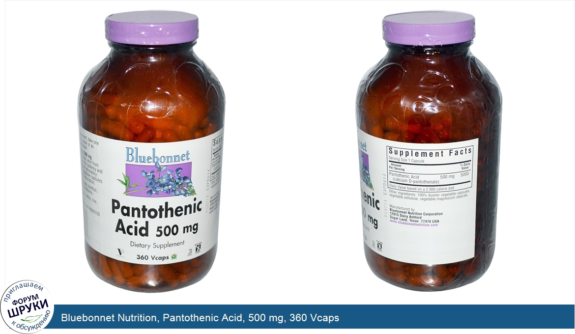 Bluebonnet_Nutrition__Pantothenic_Acid__500_mg__360_Vcaps.jpg