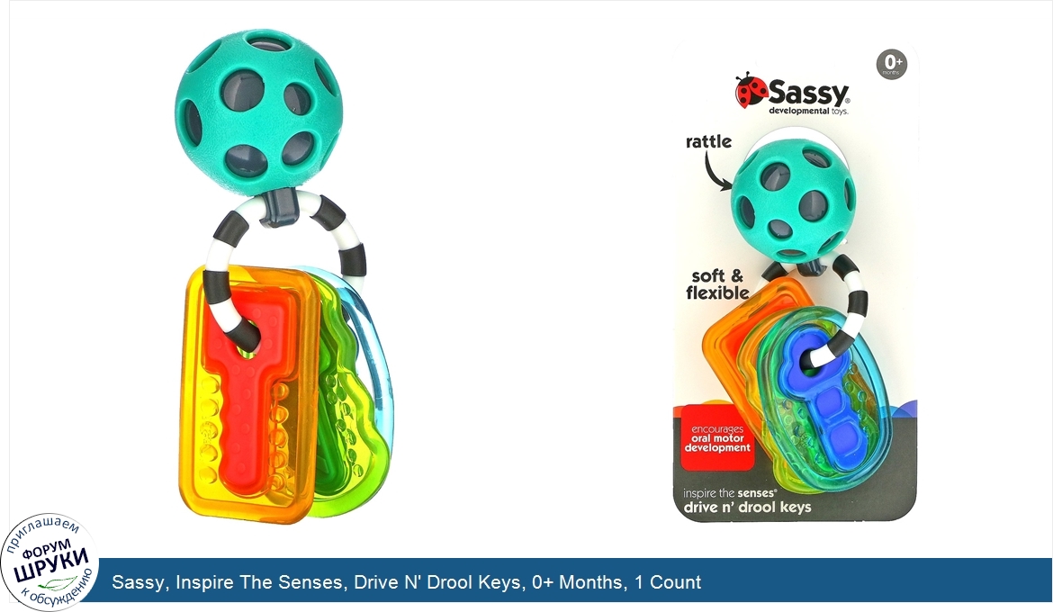 Sassy__Inspire_The_Senses__Drive_N__Drool_Keys__0__Months__1_Count.jpg