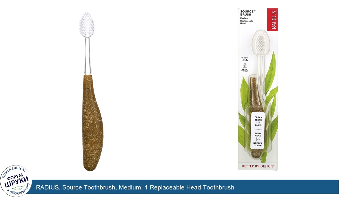 RADIUS__Source_Toothbrush__Medium__1_Replaceable_Head_Toothbrush.jpg