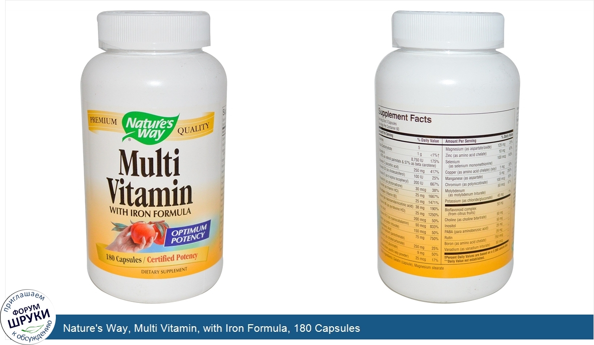 Nature_s_Way__Multi_Vitamin__with_Iron_Formula__180_Capsules.jpg
