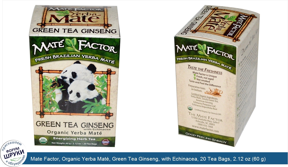 Mate_Factor__Organic_Yerba_Mat___Green_Tea_Ginseng__with_Echinacea__20_Tea_Bags__2.12_oz__60_g_.jpg