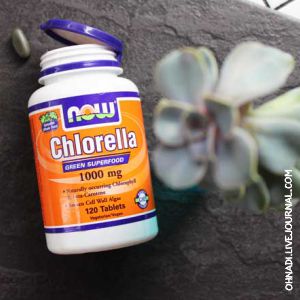 Chlorella.jpg